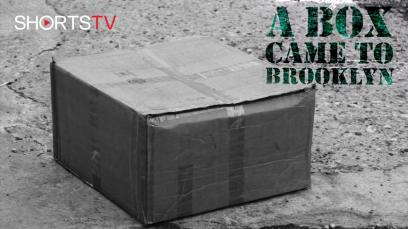 a-box-came-to-brooklyn-rated-pg-13